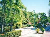 1995111074 Darrel and Betty Hagberg - Nov 3-11 - Ixtapa Mexico