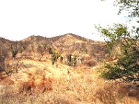 2006042131 Darrel & Betty Hagberg - Copper Canyon - Mexico