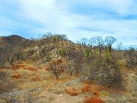 2006042132 Darrel & Betty Hagberg - Copper Canyon - Mexico