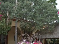 2006042141 Darrel & Betty Hagberg - Copper Canyon - Mexico