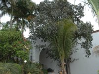 2006042146 Darrel & Betty Hagberg - Copper Canyon - Mexico