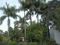 2006042149 Darrel & Betty Hagberg - Copper Canyon - Mexico