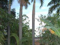 2006042153 Darrel & Betty Hagberg - Copper Canyon - Mexico