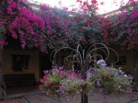 2006042177 Darrel & Betty Hagberg - Copper Canyon - Mexico