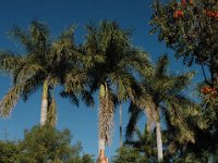2006042197 Darrel & Betty Hagberg - Copper Canyon - Mexico