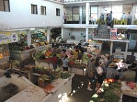 2006042206 Darrel & Betty Hagberg - Copper Canyon - Mexico