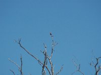 2006042227 Darrel & Betty Hagberg - Copper Canyon - Mexico