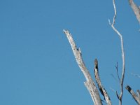 2006042228 Darrel & Betty Hagberg - Copper Canyon - Mexico