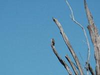 2006042230 Darrel & Betty Hagberg - Copper Canyon - Mexico