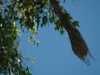 2006042241 Darrel & Betty Hagberg - Copper Canyon - Mexico