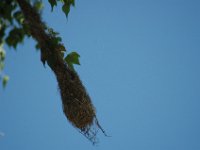 2006042242 Darrel & Betty Hagberg - Copper Canyon - Mexico