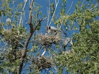 2006042253 Darrel & Betty Hagberg - Copper Canyon - Mexico