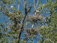 2006042254 Darrel & Betty Hagberg - Copper Canyon - Mexico