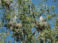 2006042256 Darrel & Betty Hagberg - Copper Canyon - Mexico