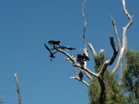 2006042262 Darrel & Betty Hagberg - Copper Canyon - Mexico