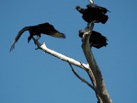 2006042264 Darrel & Betty Hagberg - Copper Canyon - Mexico