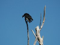 2006042266 Darrel & Betty Hagberg - Copper Canyon - Mexico