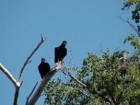 2006042268 Darrel & Betty Hagberg - Copper Canyon - Mexico