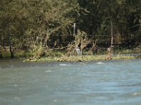 2006042269 Darrel & Betty Hagberg - Copper Canyon - Mexico