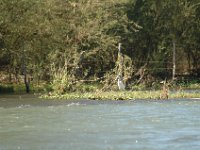 2006042270 Darrel & Betty Hagberg - Copper Canyon - Mexico