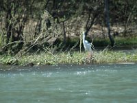 2006042272 Darrel & Betty Hagberg - Copper Canyon - Mexico