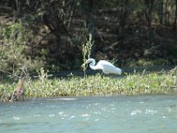 2006042275 Darrel & Betty Hagberg - Copper Canyon - Mexico