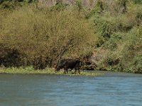 2006042277 Darrel & Betty Hagberg - Copper Canyon - Mexico