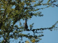 2006042278 Darrel & Betty Hagberg - Copper Canyon - Mexico