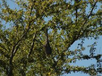 2006042279 Darrel & Betty Hagberg - Copper Canyon - Mexico
