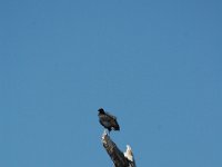 2006042280 Darrel & Betty Hagberg - Copper Canyon - Mexico