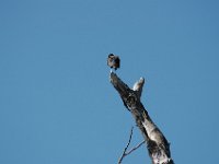 2006042281 Darrel & Betty Hagberg - Copper Canyon - Mexico