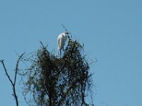 2006042284 Darrel & Betty Hagberg - Copper Canyon - Mexico