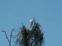 2006042285 Darrel & Betty Hagberg - Copper Canyon - Mexico