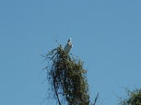 2006042287 Darrel & Betty Hagberg - Copper Canyon - Mexico
