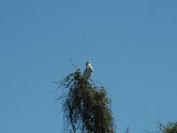 2006042288 Darrel & Betty Hagberg - Copper Canyon - Mexico