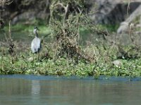 2006042290 Darrel & Betty Hagberg - Copper Canyon - Mexico