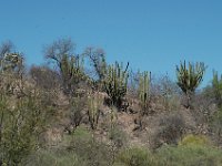 2006042292 Darrel & Betty Hagberg - Copper Canyon - Mexico