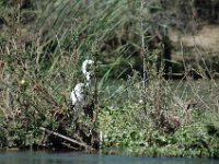 2006042293 Darrel & Betty Hagberg - Copper Canyon - Mexico