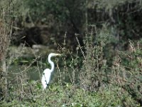 2006042294 Darrel & Betty Hagberg - Copper Canyon - Mexico