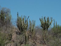 2006042297 Darrel & Betty Hagberg - Copper Canyon - Mexico