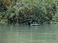 2006042299 Darrel & Betty Hagberg - Copper Canyon - Mexico