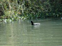 2006042300 Darrel & Betty Hagberg - Copper Canyon - Mexico