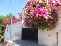 2006042318 Darrel & Betty Hagberg - Copper Canyon - Mexico