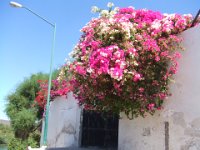 2006042319 Darrel & Betty Hagberg - Copper Canyon - Mexico