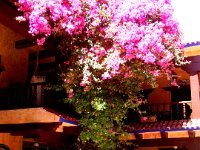 2006042327 Darrel & Betty Hagberg - Copper Canyon - Mexico