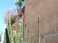 2006042344 Darrel & Betty Hagberg - Copper Canyon - Mexico