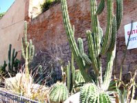 2006042345 Darrel & Betty Hagberg - Copper Canyon - Mexico