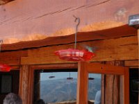 2006042519 Darrel & Betty Hagberg - Copper Canyon - Mexico