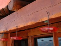 2006042521 Darrel & Betty Hagberg - Copper Canyon - Mexico