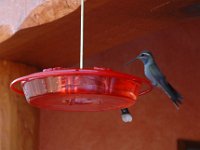 2006042571 Darrel & Betty Hagberg - Copper Canyon - Mexico